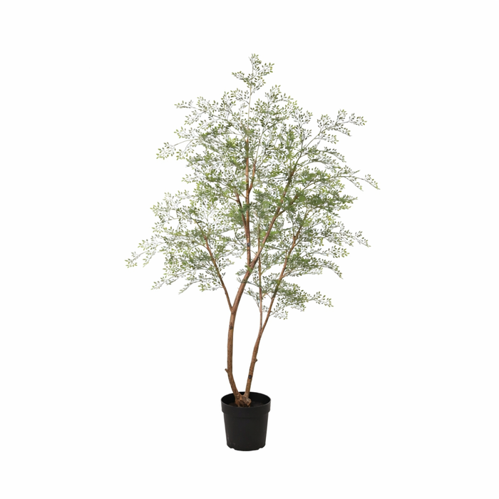 Kunstplant Cassia boom - ↕180cm