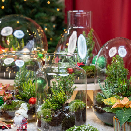 Holly Christmas terrarium - Bottle garden DIY kit - Ø29cm - ↕30cm