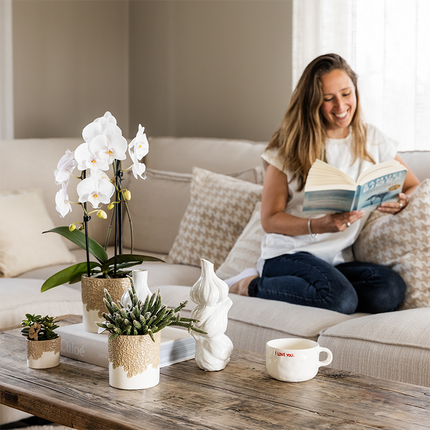 Kolibri Company | Combi deal | Bloom sierpot zand – set 6cm + 9cm + 12cm