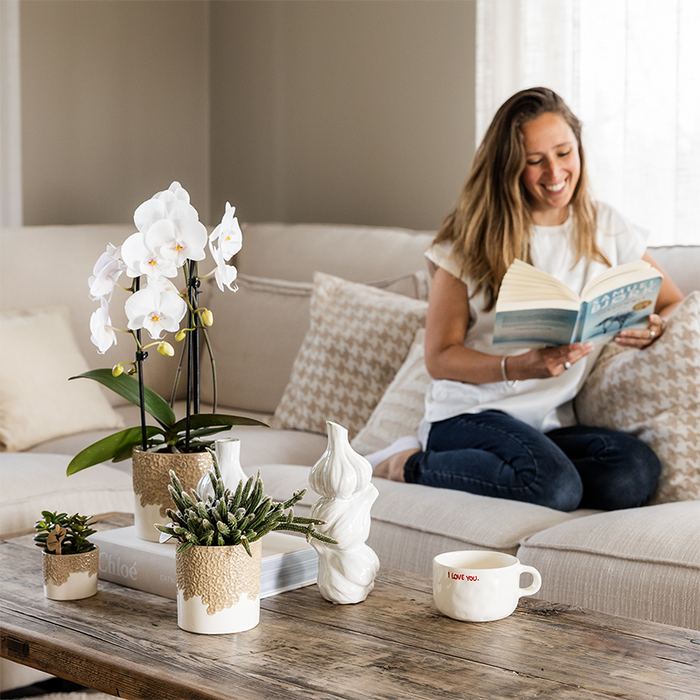 Kolibri Company | Combi deal | Bloom sierpot zand – set 6cm + 9cm + 12cm