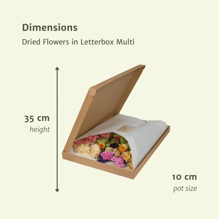 Tørrede blomster i postkasse - Multi