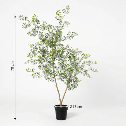 Sztuczna roślina Bucida - ↕70 cm
