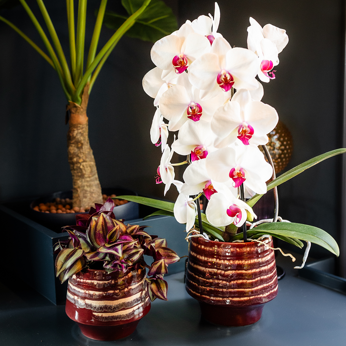 Kolibri Home | Moonstone Burgundy sierpot - Ø9cm