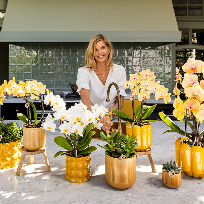 Kolibri Home | Cotton Shine sierpot - Yellow - Ø6cm