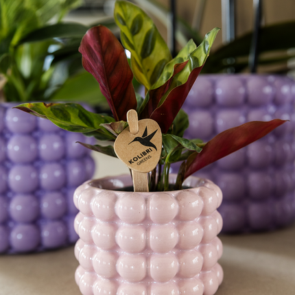Kolibri Home | Poppy decorative pot - Pink - Ø6cm