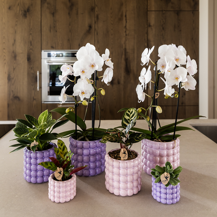 Kolibri Home | Poppy decorative pot - Pink - Ø12cm