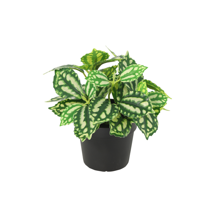 Plante aquatique artificielle de type glaçon - ↕8cm