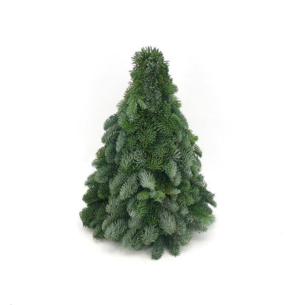 Nobilis Christmas Tree - ↕40cm