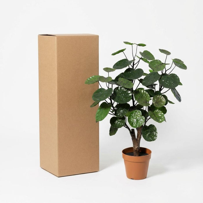 Kunstplant Polysicas Fabian - ↕55cm