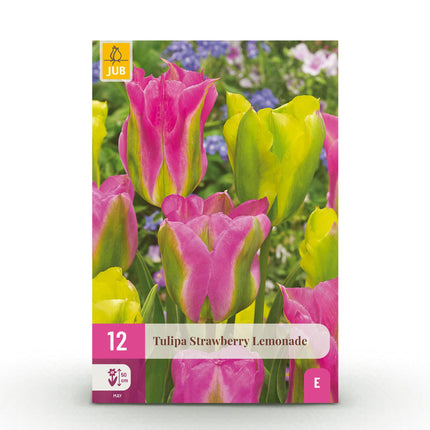 Blomsterløg - Tulipan Jordbær Lemonade - Forskellige Farver - 12 stk. - Løgstørrelse 11/12 - XXL Pakke