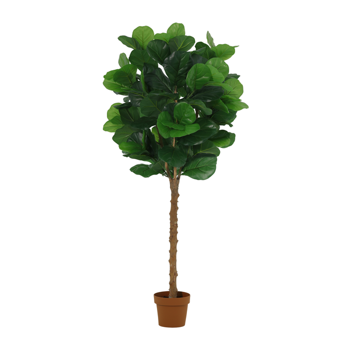 Artificial plant Ficus lyrata tree - ↕160cm