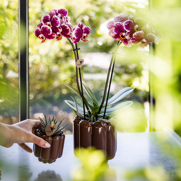 Kolibri Home | Retro Shine sierpot - Brown - Ø6cm