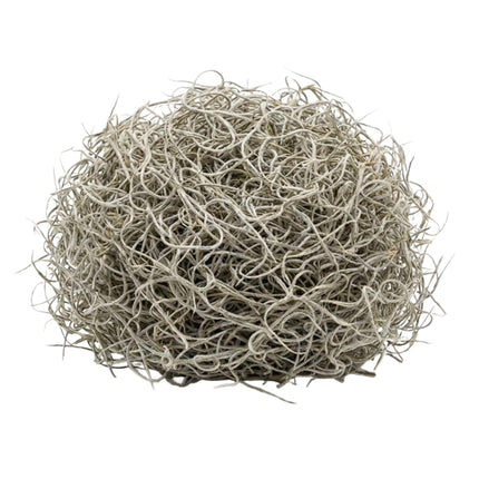 Gedroogd Tillandsia Mos – 1L – Alleen voor decoratief gebruik