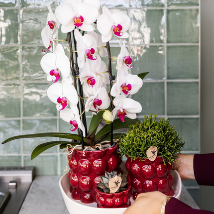 Kolibri Home | Cotton Shine decorative pot - Red - Ø12cm