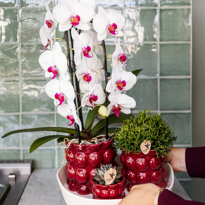 Kolibri Home | Cotton Shine sierpot - Red - Ø12cm