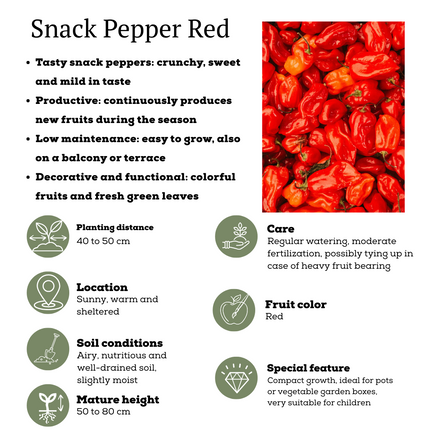 Rode plukgroente mix van 3 planten - Cherry tomaat - Rode snack paprika - Rode hete peper plant - ↕45cm - Ø14cm