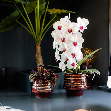 Kolibri Home | Moonstone Burgundy decorative pot - Ø9cm
