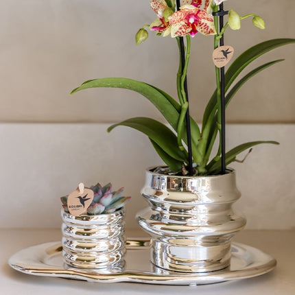 Kolibri Home | Cloud Dienblad - Zilver