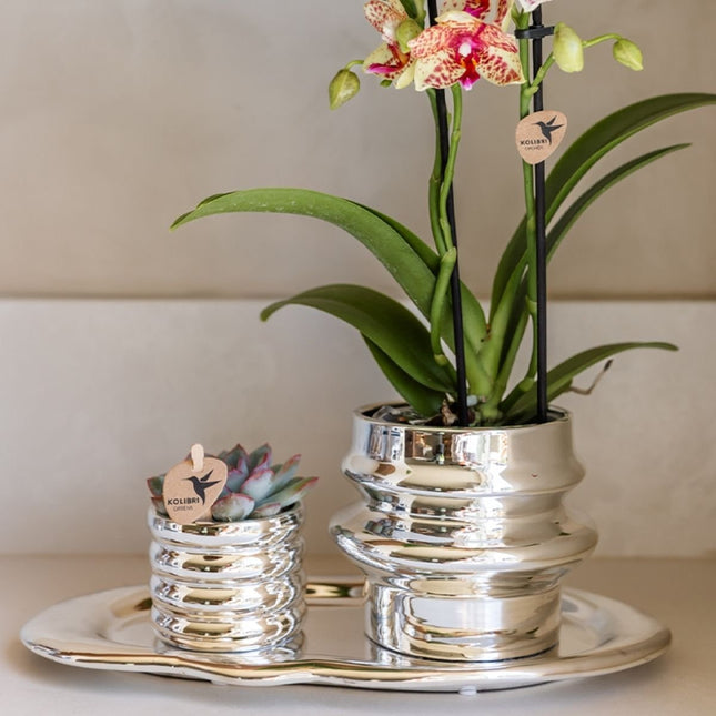 Kolibri Home | Cloud Dienblad - Zilver