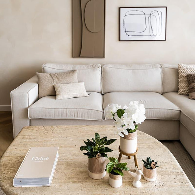 Kolibri Home | Maceta decorativa de bambú - Arena - Ø6cm