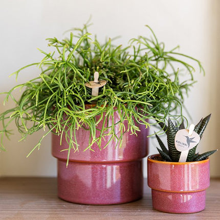 Kolibri Home | Timeless sierpot - Roze - Ø6 cm