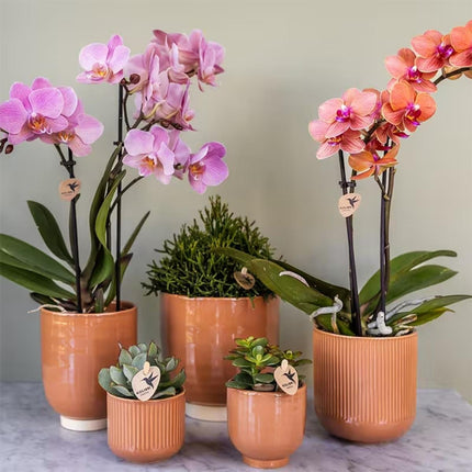 Kolibri Home | Flare sierpot - Cognac - Ø6cm