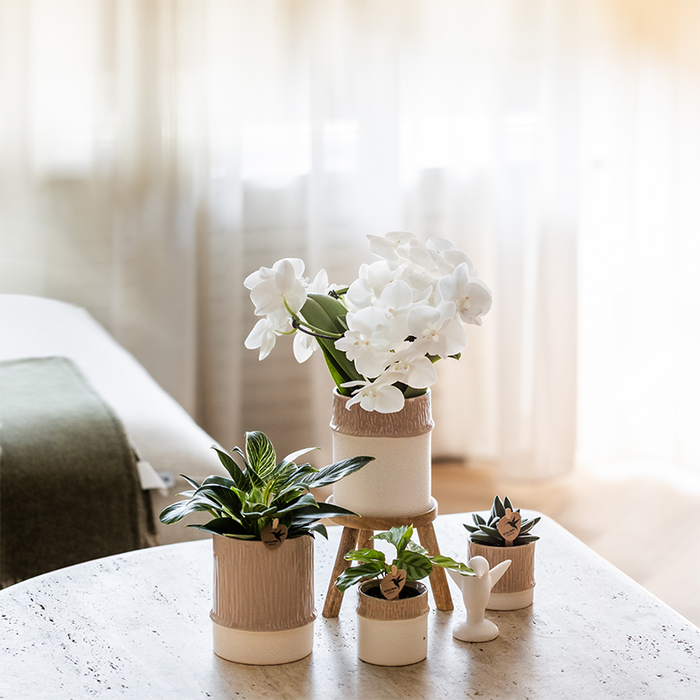 Kolibri Home | Tree sierpot - Sand - Ø9cm