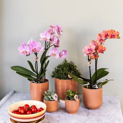 Kolibri Home | Flare sierpot - Cognac - Ø6cm