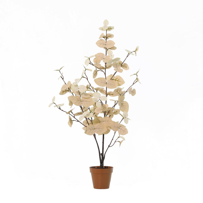 Pianta artificiale di eucalipto bianco - ↕86cm