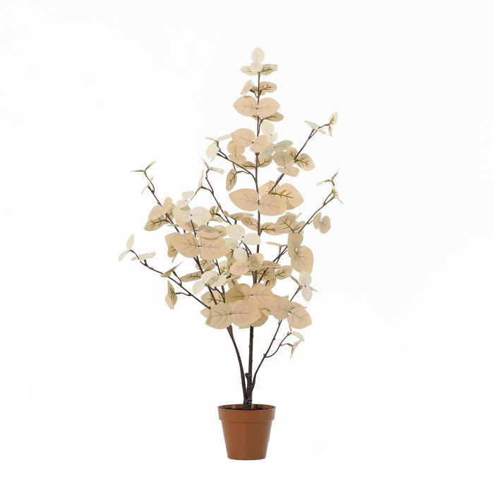 Eucalyptus artificiel blanc - ↕86cm