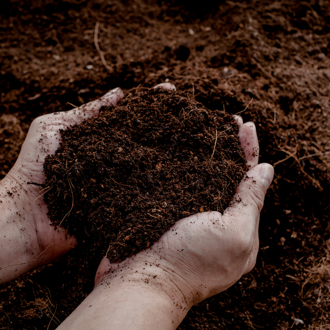 Sustrato universal para macetas de 30 litros – Para plantas de interior y exterior