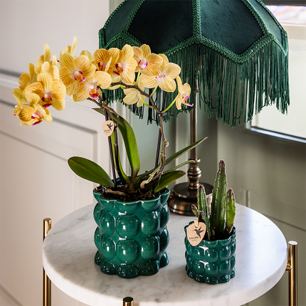 Kolibri Home | Cotton Shine decorative pot - Green - Ø9cm