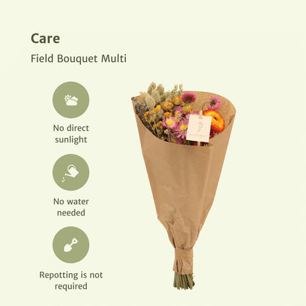 Field Bouquet Multi - Droogboeket - ↕35cm - Ø15 - 12x