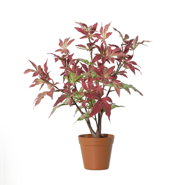 Kunstplant Maple - ↕53cm