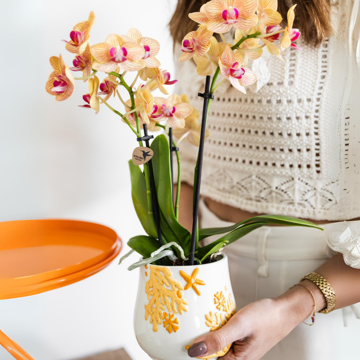 Kolibri Home | Coral plantenpot - Yellow - Ø9cm