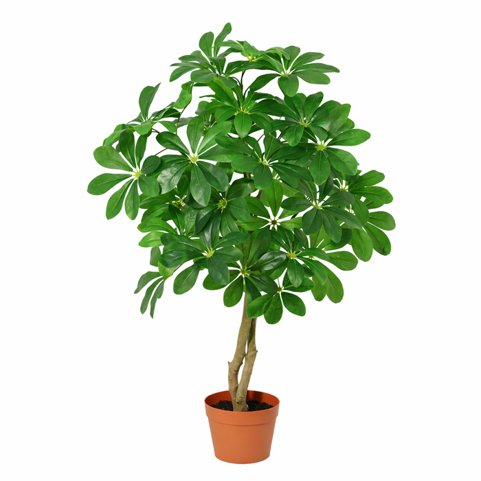Plante artificielle Schefflera Arboricola - ↕120cm