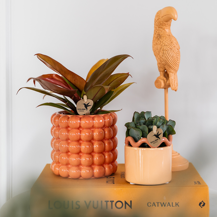 Pot décoratif Colibris | Coquelicot - Orange - Ø9cm