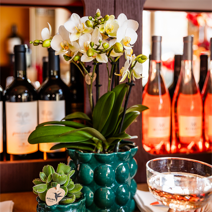 Kolibri Home | Cotton Shine sierpot - Green - Ø6cm