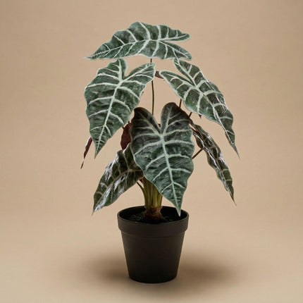 Artificial Alocasia bush plant in pot - ↕40cm