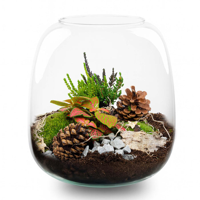 Berry Kerstmis terrarium - Planten terrarium  - DIY kit Christmas - Ø19cm - ↕20cm