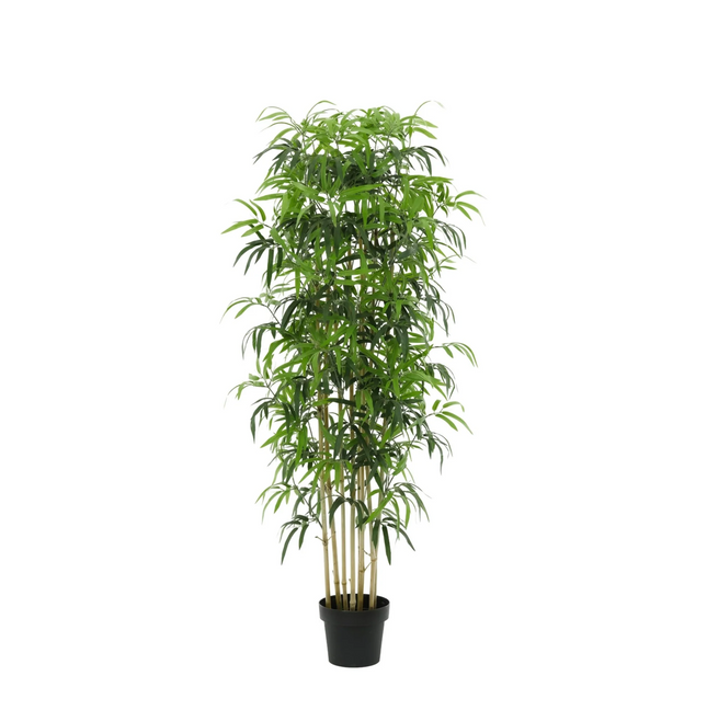 Kunstplant Bamboe - ↕180cm