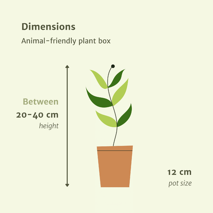 Pet-Friendly Plant Box - ↕20-40cm - Ø12cm - 4x