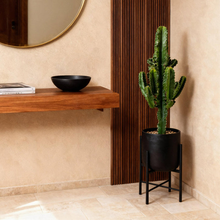 Euphorbia Eritrea - Afrikaanse melkboom - ↕60cm - Ø17cm