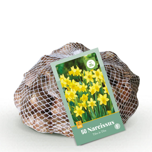 Bulbi di fiori - Narciso Tete-A-Tete - Colore giallo - 50 pezzi - Dimensione bulbo 10/12