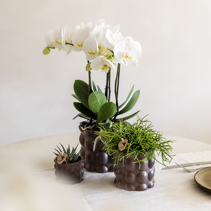 Kolibri Home | Doniczka dekoracyjna bawełniana - Brązowa - Ø9 cm