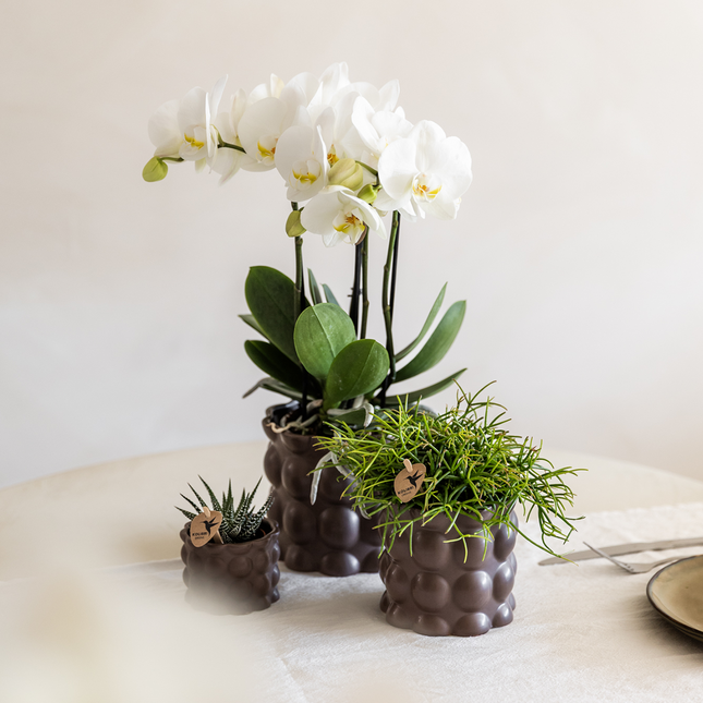 Kolibri Home | Maceta decorativa de algodón - Marrón - Ø9cm