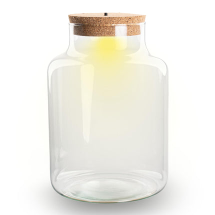 Bottiglia terrario con tappo di sughero - Little Milky con tappo a LED - Terrario grande chiuso ↑ 24,5 cm