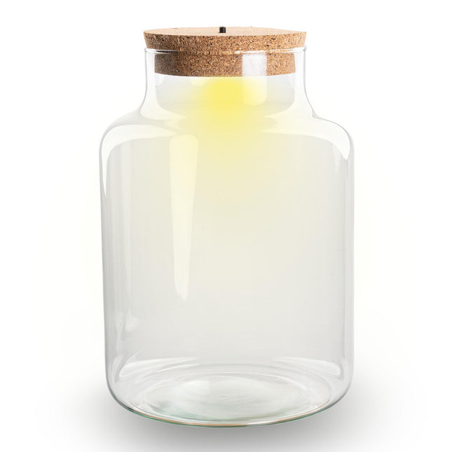Kleine milchige Terrariumflasche mit Korken – Geschlossenes großes Terrarium ↑ 24,5 cm