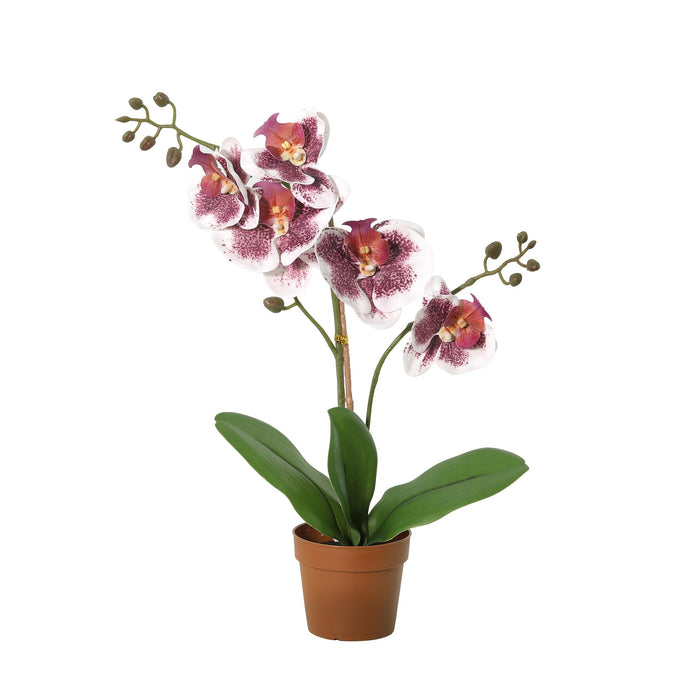 Plante artificielle Phalaenopsis orchidée violette et blanche - ↕41cm