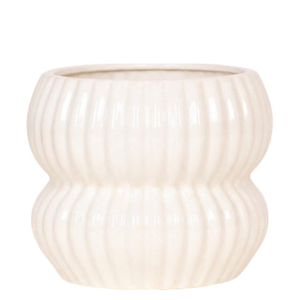 Kolibri Orchids | Witte Nazaré orchidee + Horizon sierpot wit – potmaat Ø9cm